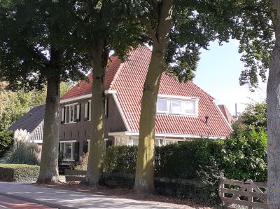 {{brizy_dc_image_alt imageSrc=